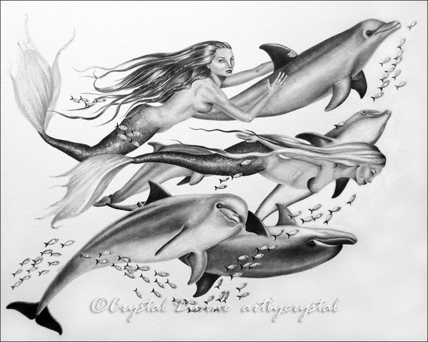 Dolphin Dalliance