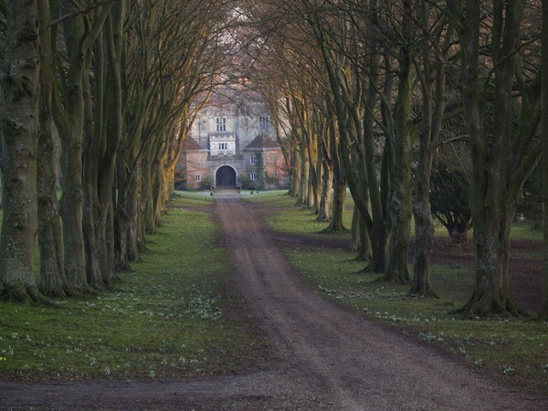 Country house