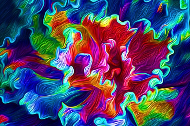 Painted Succulent
