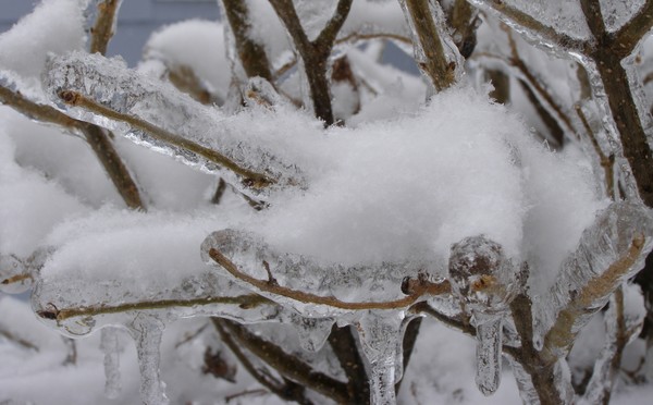 Holding Onto Winter