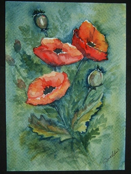 poppies
