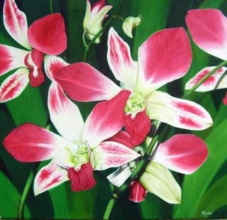orchids1