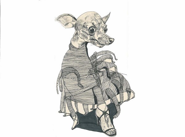Good Doggy