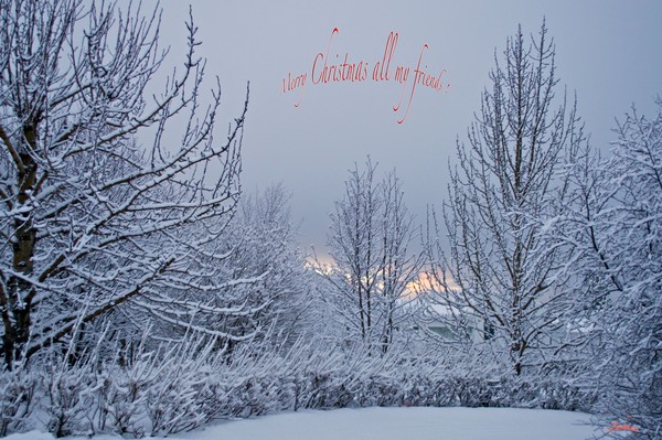  Merry Christmas !