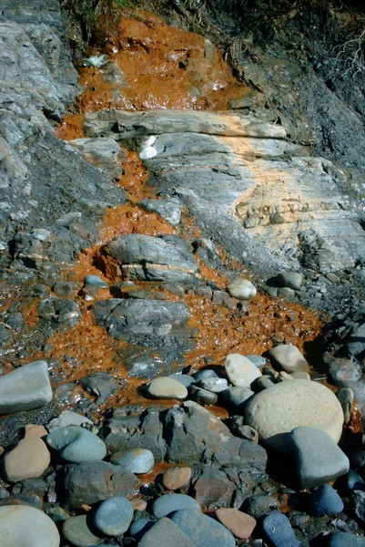 oregon beach scene