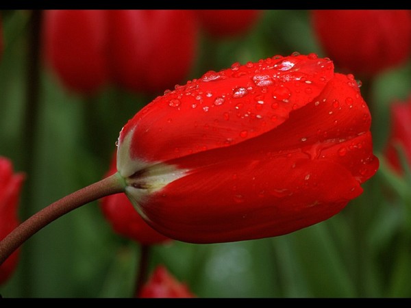 For you...