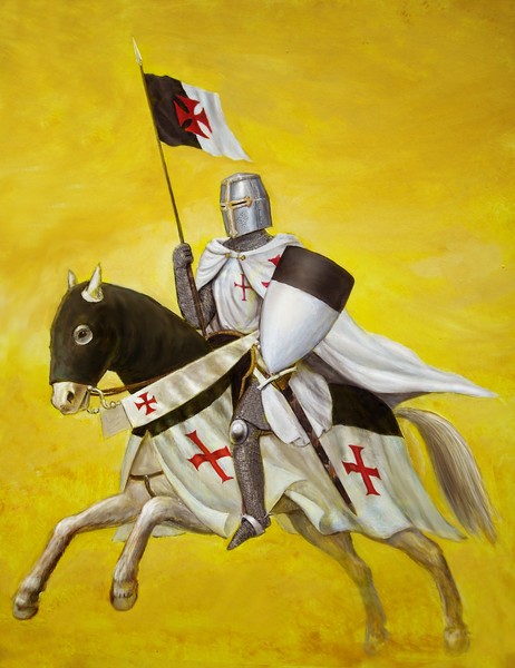 Templar book cover image