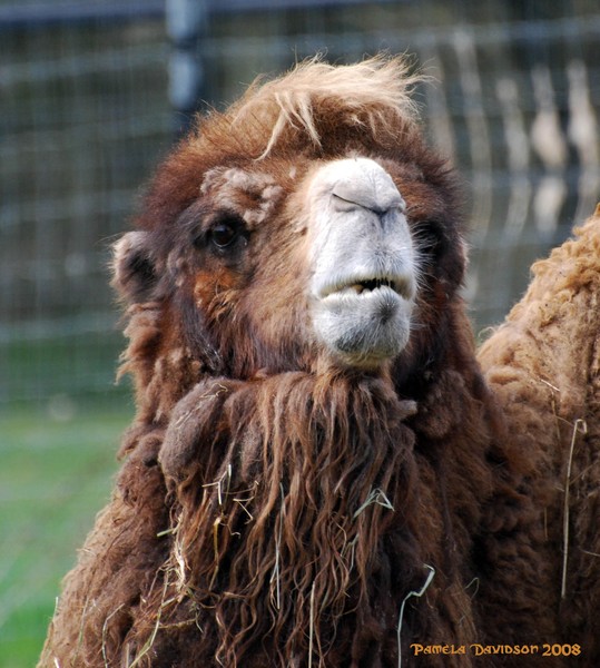 What? You've never had a bad hair day??