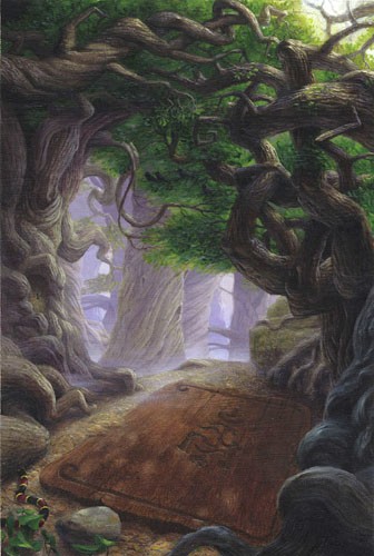 A Door In the Woods