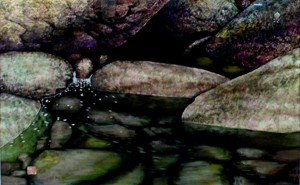 a brook in valley