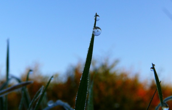 A Drop Of Frozen Clarity