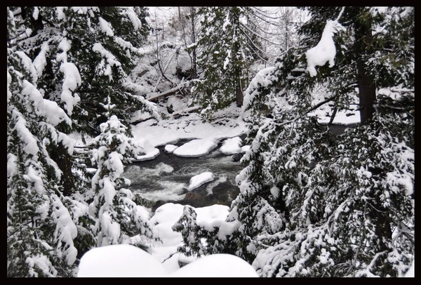 freezin' cold river