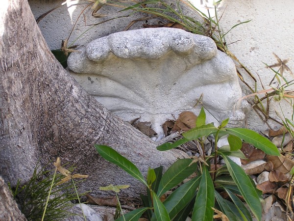 Roots