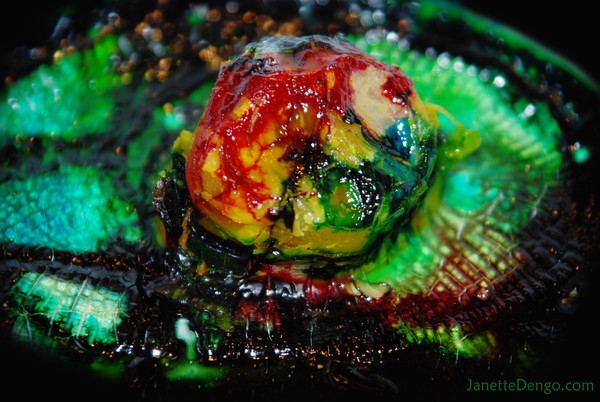 Beautiful Rotten Life