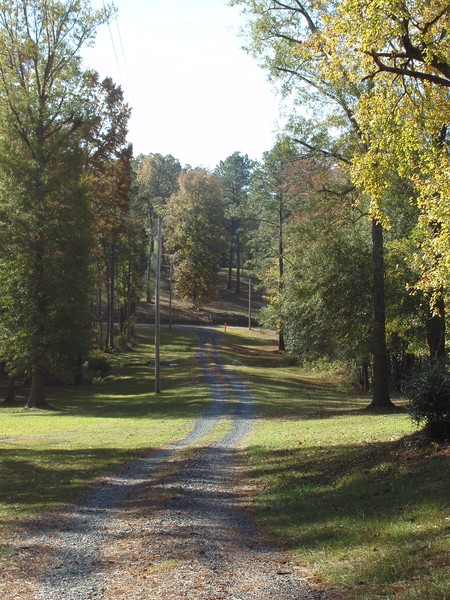 The Long Road Home