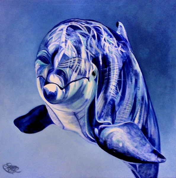 Dolphin