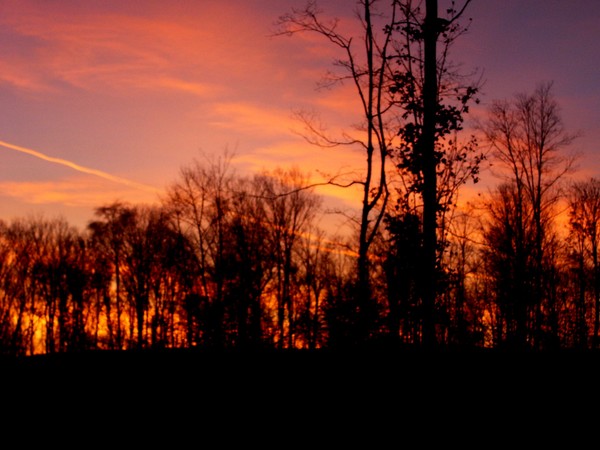 The day saying G'Night