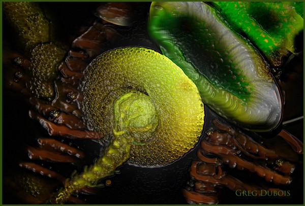  Species ; Scrubber Protozoa Maximus