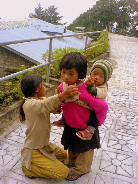 Adulterated Childhood