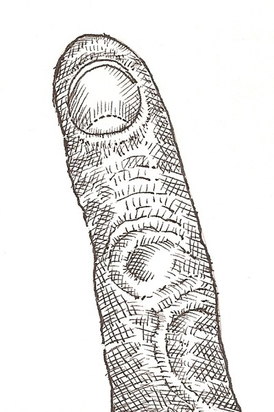 Left Index Finger