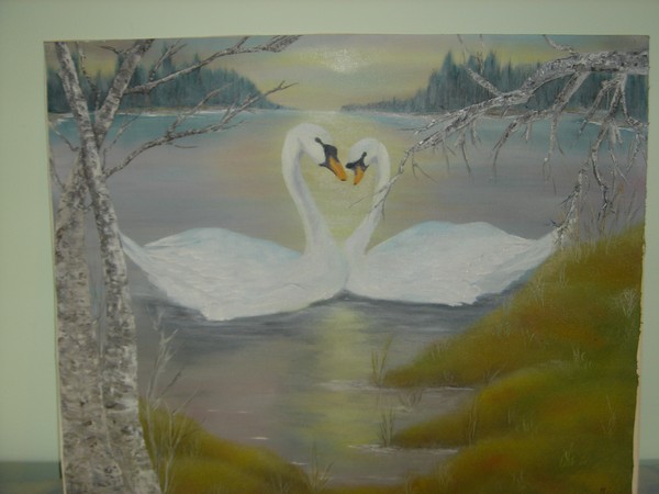 swans
