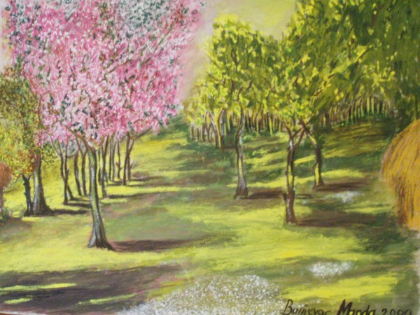 my garden with the broad bloom apple-tree
