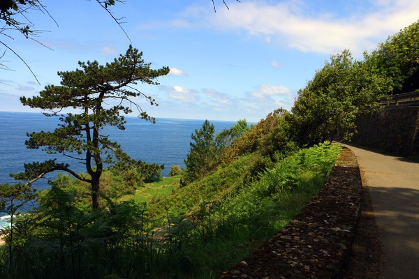 View from Mt. Urgull-1130