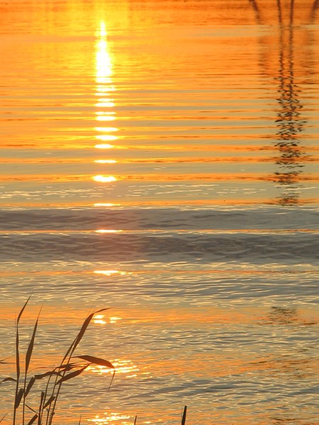 sunset at the beach