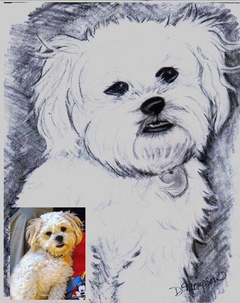 suger_portrait