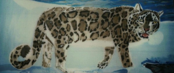 Snow Leopard