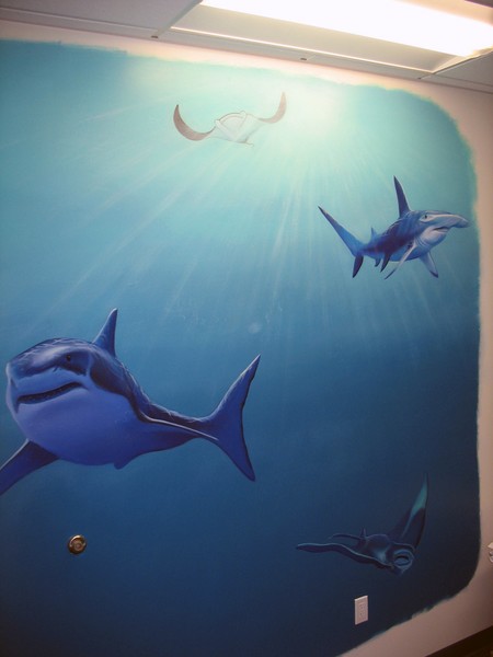 The Shark Room