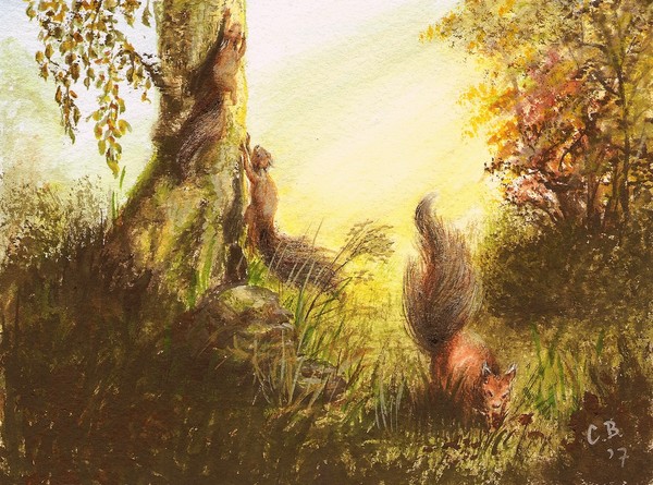 1 out of 12  'Dutch Forest'