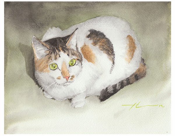 calico kitty watercolor painting