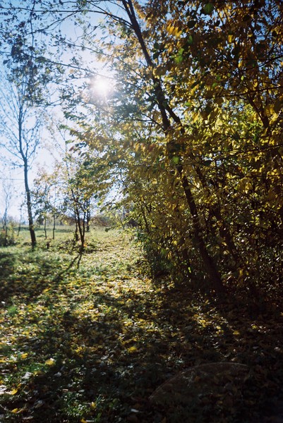 Autumn sun