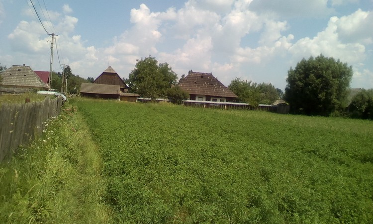 My village,traditional house