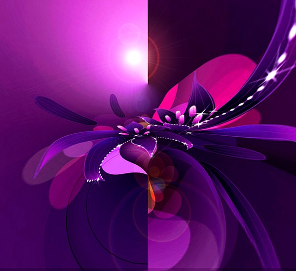 Violets