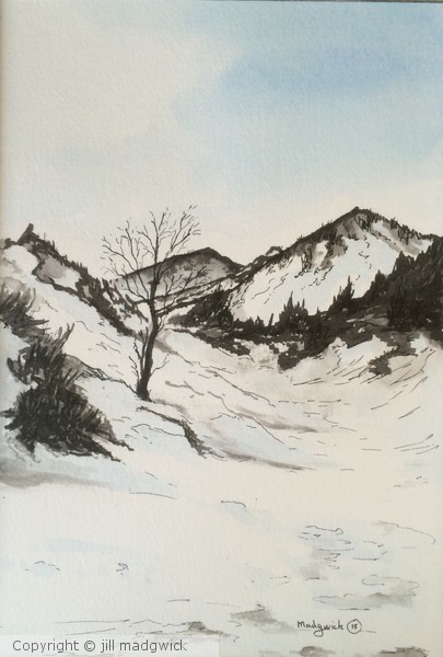 Winter in the White mountains
