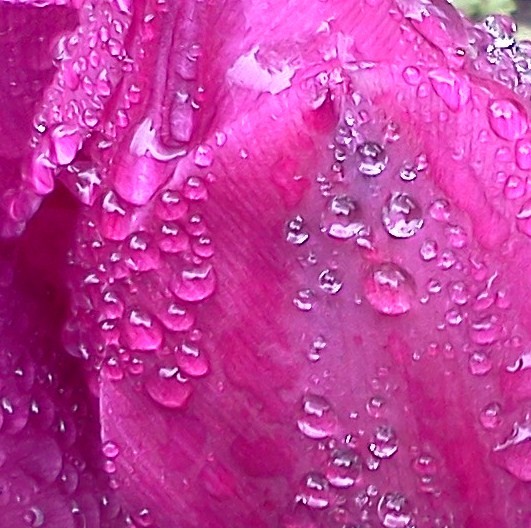Drip Drop