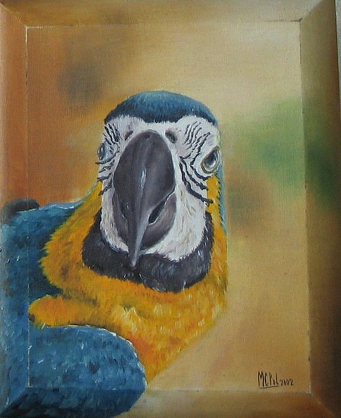 arara