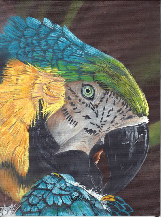 Parrott
