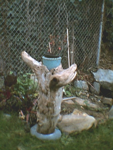 alder planter with cement bronzed insert