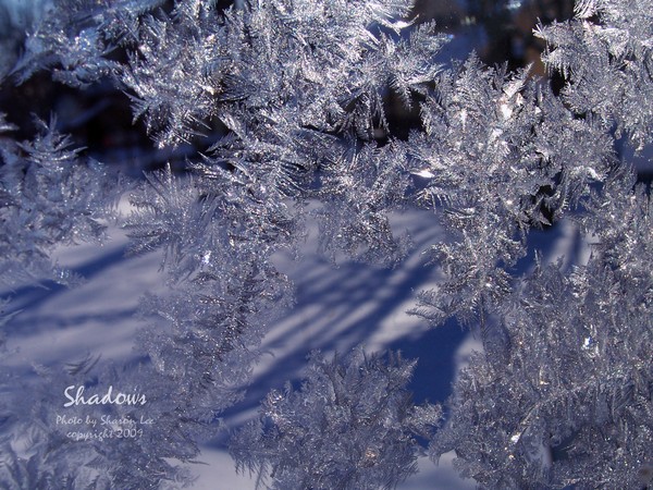 Is that you, Jack Frost, outside my window?