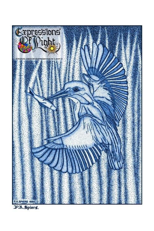 ExpoLight-Graphic-Arts-Kingfisher-1985-0001 (Pen-&-Ink-Blue-Sepia-SP)