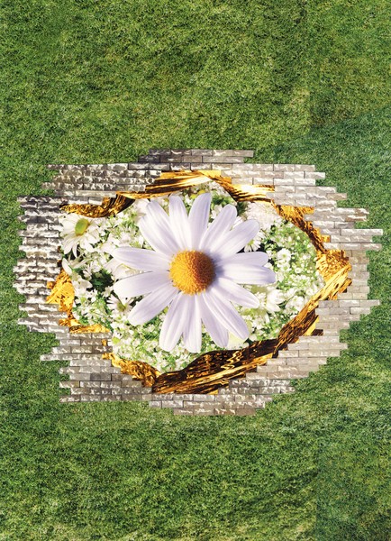 Daisy in bricks