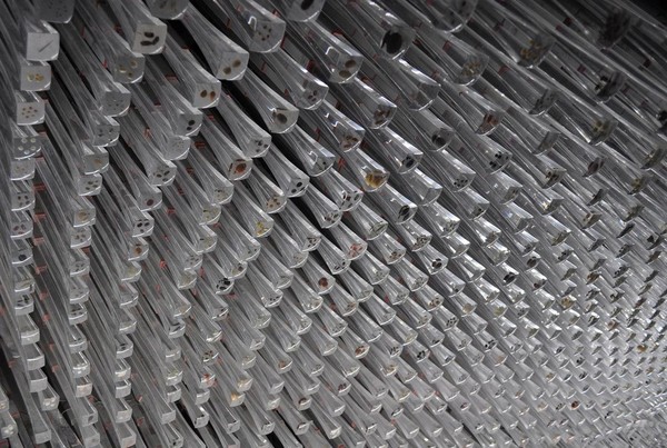 Seed cathedral inside