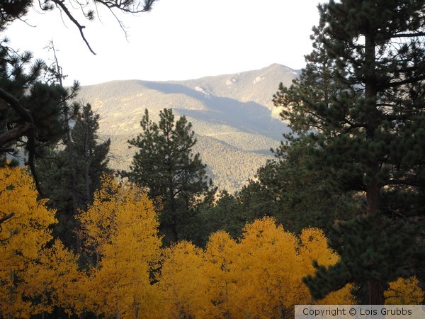Fall Foilage Sept 2011 My camera 018