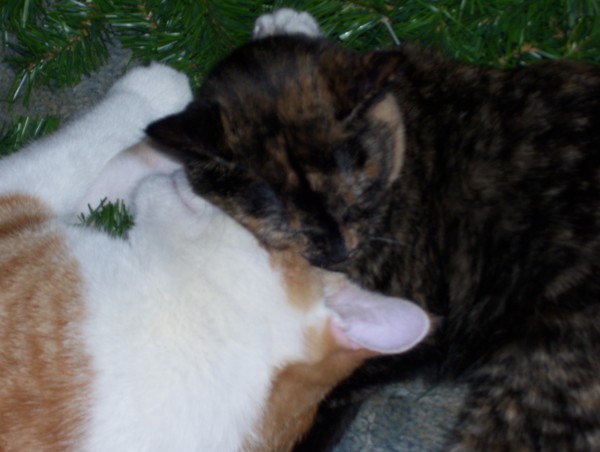 soul mates