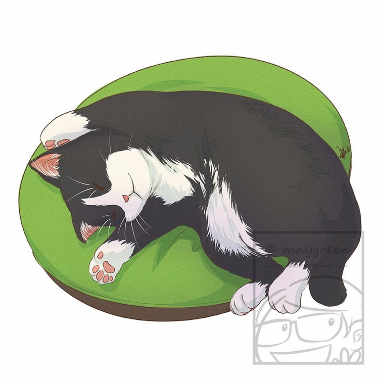 Sleeping Cat Tuxedo Black and White