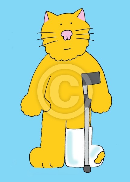 Broken leg.