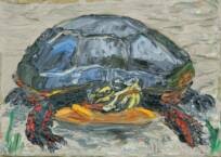 Painted Turtle